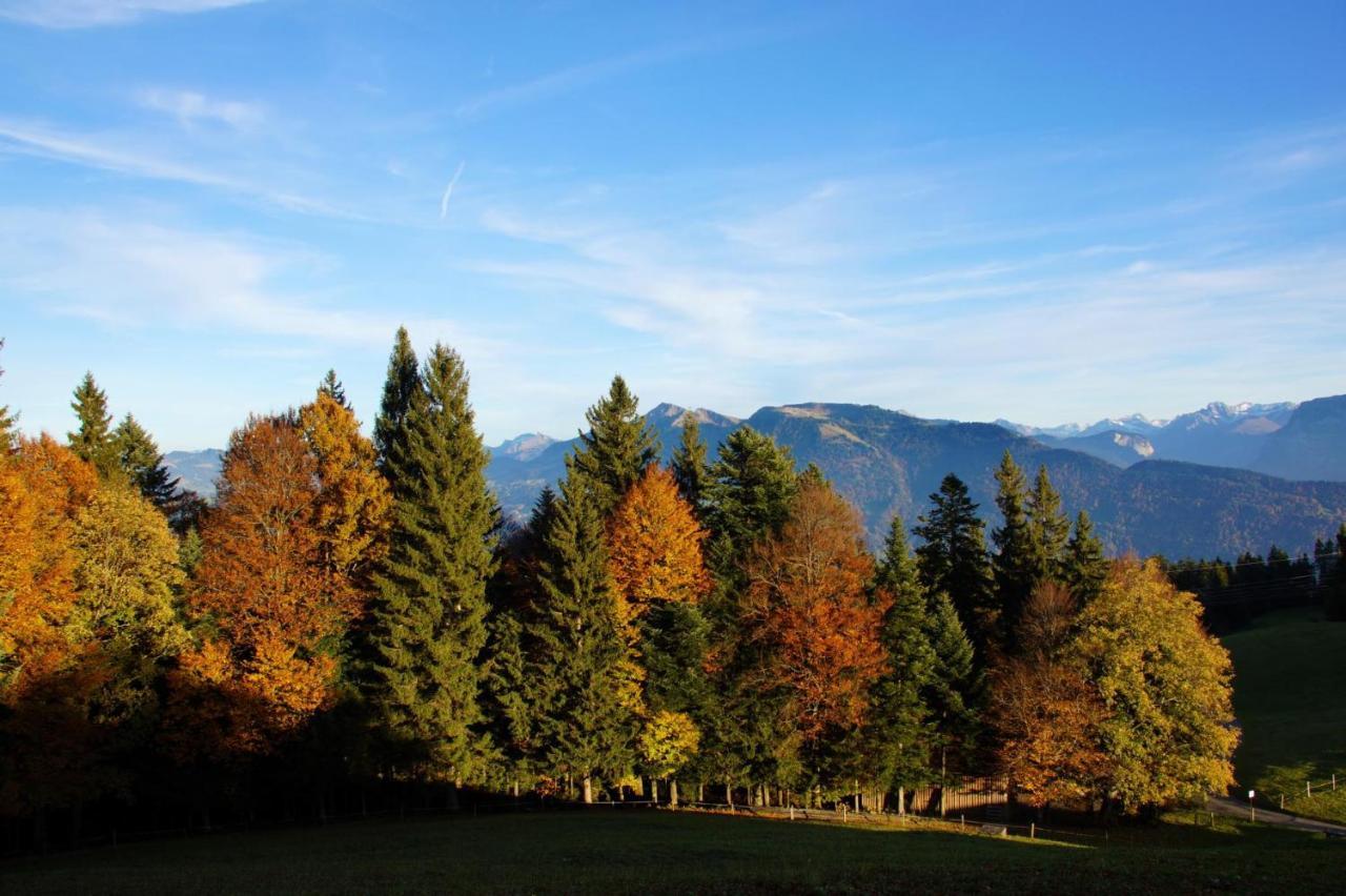 Alpengasthof Brueggele Alberschwende Exteriér fotografie
